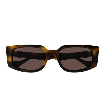 Gucci Gg1534s Havana Sunglasses
