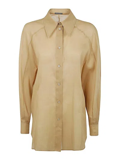 Alberta Ferretti Classic Organdy Shirt Clothing In Brown