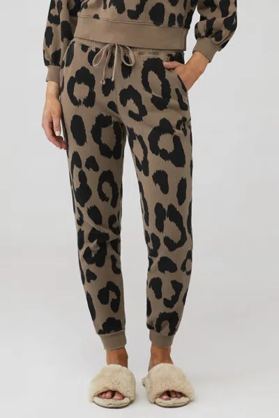 Pistola Alessa Slim Straight Leg Sweatpant In Safari Graphic Leopard In Multi