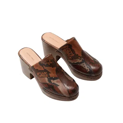 Rachel Comey Women's Bose Clog In Brown Snake In Multi