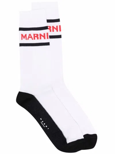 Marni Logo-print Socks In Burgundy