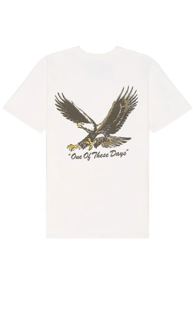 One Of These Days Screaming Eagle Tee In Bone