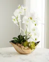 John-richard Collection Cambridge Orchid Arrangement In White