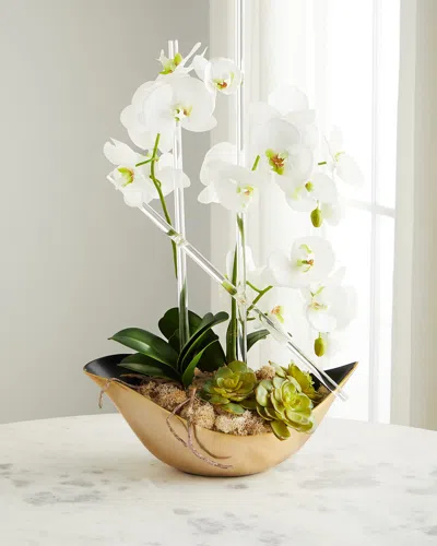 John-richard Collection Cambridge Orchid Arrangement In White