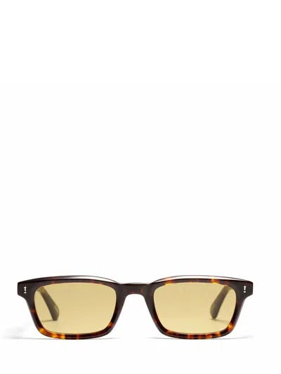 Peter And May Sunglasses In Tortoise