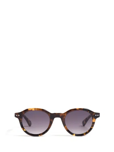 Peter And May Sunglasses In Melted Tortoise