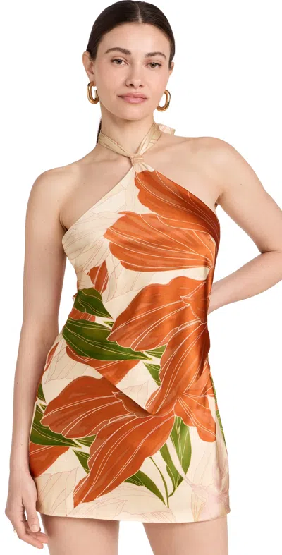 Retroféte Adelaide Floral Silk Knotted Halter Overlay Mini Dress In Neutral Botanical