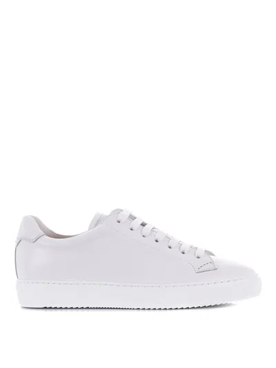 Doucal's Trainer In White