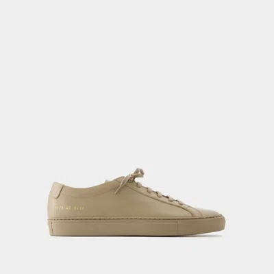 Common Projects Trainers In Brown