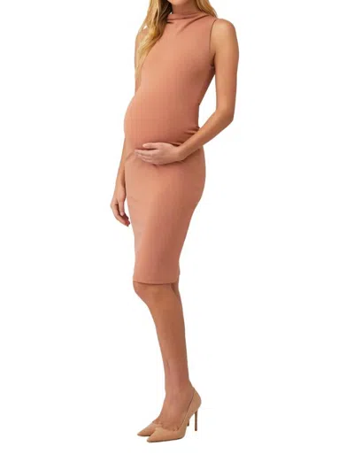 Bumpsuit The Emma Dress In Rose In Pink