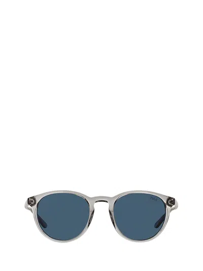 Polo Ralph Lauren Sunglasses In Shiny Semi-transparent Grey