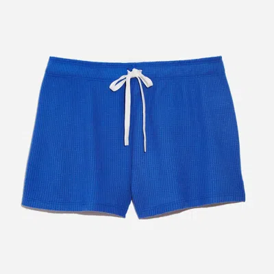 Pj Salvage The Remix Waffle Thermal Lounge Shorts In Blue