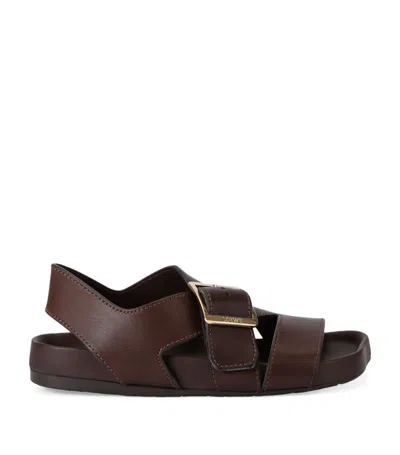Loewe Calfskin Ease Buckle Sandals In Dark Brown