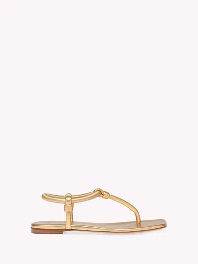 Gianvito Rossi 5mm Metallic Leather Flat Thong Sandals In Gold