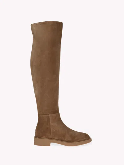 Gianvito Rossi Suede Over-the-knee Boots In Brown