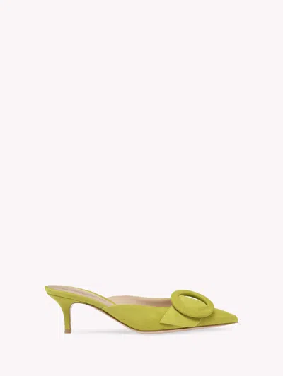 Gianvito Rossi Suede Buckle Point-toe Mules In Green