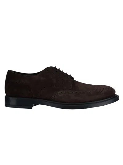 Tod's Classic Perforated Derby Shoes In Brown