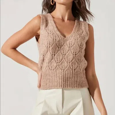 Astr Knit Vest In Taupe In Brown