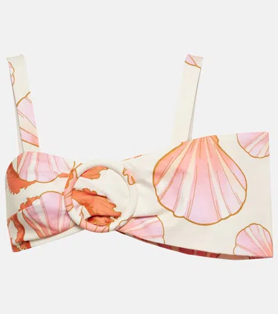 Adriana Degreas Seashell Bikini Top In Multicoloured