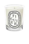 Diptyque Figuier Small Scented Candle 2.4 Oz. In Colorless