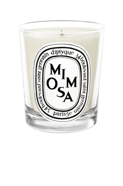 Diptyque Mimosa Scented Candle In N,a