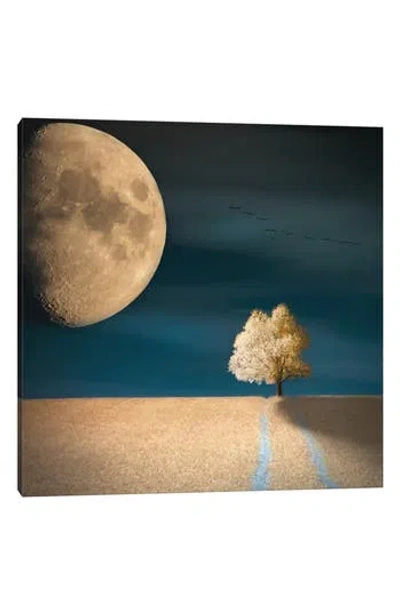 Icanvas Gmo Art Print By Piotr Krol, 12"x12" In Blue/green
