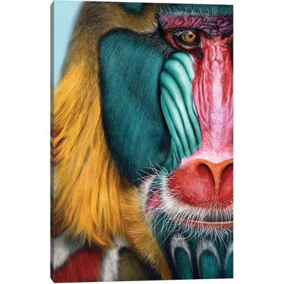 Icanvas Mandrill Canvas Artwork By Giulio Rossi, 26"x18" In Blue/green