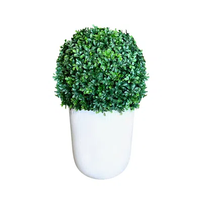 Creative Displays Uv-rated Boxwood Ball In Cylindrical Planter In Brown