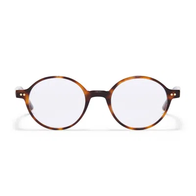 Taylor Morris Eyewear Tm017-c2 In Brown