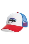 Patagonia 'fitz Roy Bison' Trucker Hat In White Fire