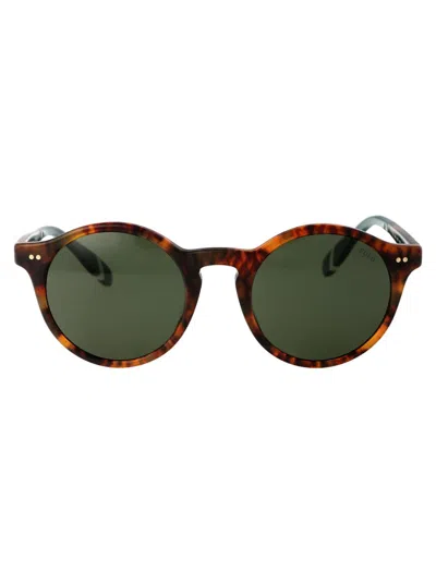 Polo Ralph Lauren Sunglasses In 501771 Shiny Brown Tortoise