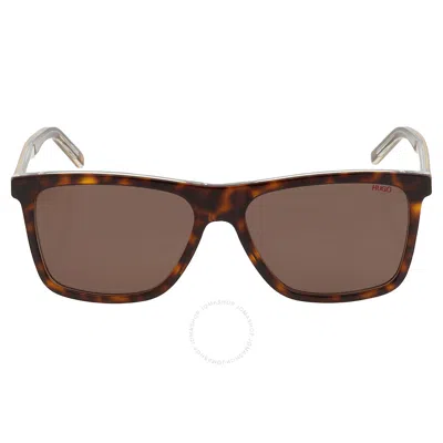 Hugo Boss Brown Square Men's Sunglasses Hg 1003/s 0krz/70 56