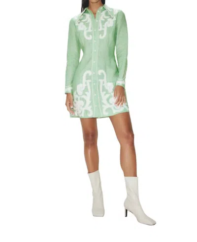 Alemais Ruby Applique Mini Dress In Mint In Green