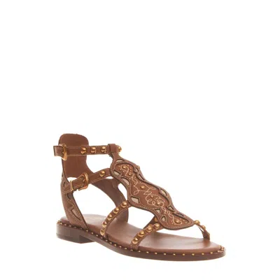 Ash Plaza Studded Leather Sandals In Brown