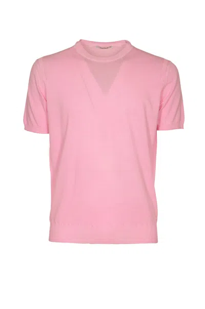 Kangra Crewneck Rib Trim Plain T-shirt In Pink