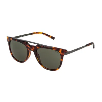 Sting Sunglasses In Brown