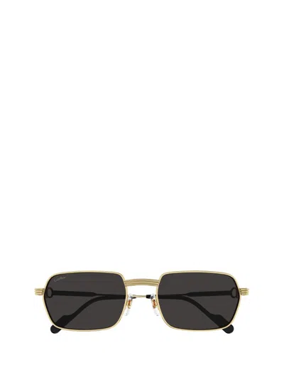 Cartier Rectangle Frame Sunglasses In Green