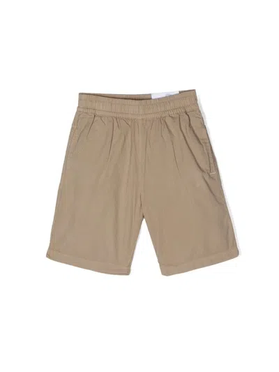 Molo Child Woven Shorts In Green