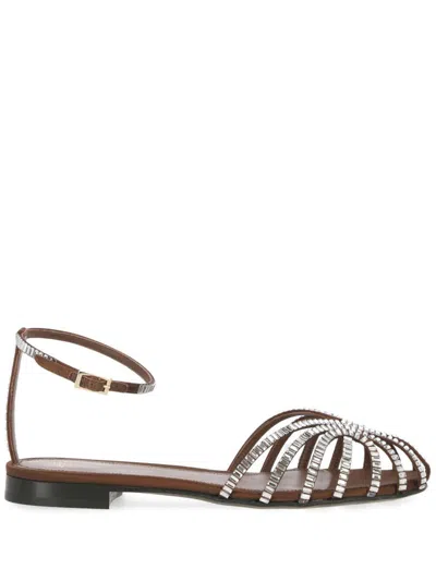 Alevì Woman Brown Sandals - Alevi L20s50035