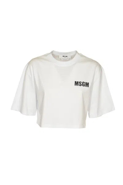 Msgm T-shirts And Polos In Optical White