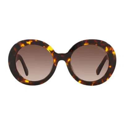 Miu Miu Eyewear Sunglasses In Havana