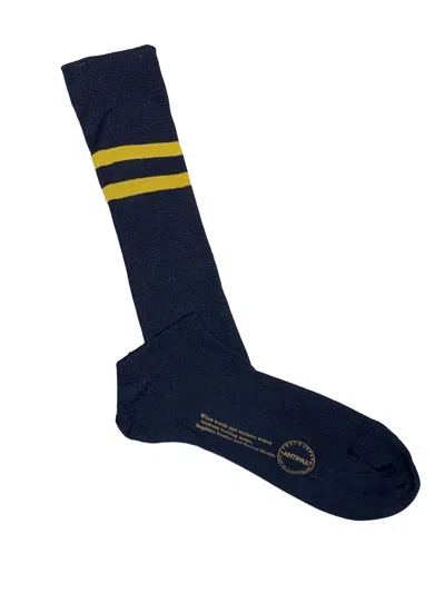 Antipast Cotton Conntrast Striped Socks In Blue