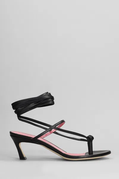 Blumarine Lace-up Leather Sandals In Black