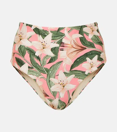 Agua By Agua Bendita Magenta Floral High-rise Bikini Bottoms In Pink