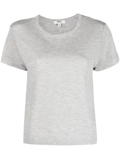 Agolde Adine Shrunken Cropped T-shirt In Grey
