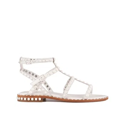 Ash Flat Sandal With White Studs