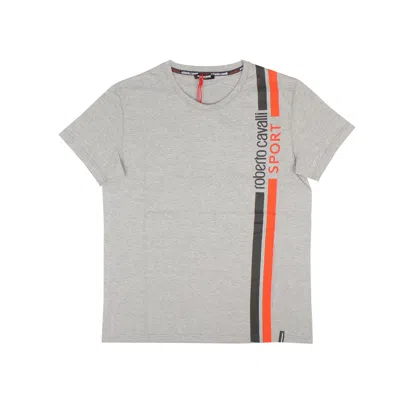 Roberto Cavalli Rc Sport Stripe T-shirt In Grey