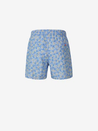 Isaia Seaweed Motif Swimsuit In Sky Blue And Light Green