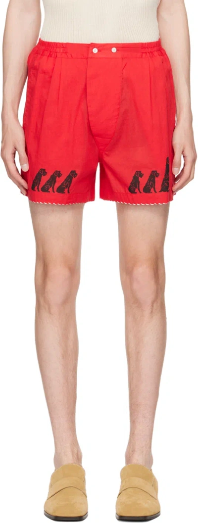 Bode Graphic-print Cotton Shorts In Red