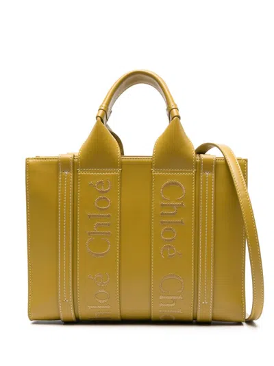 Chloé Woody Small Leather Tote In Green